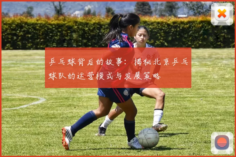 乒乓球背后的故事：揭秘北京乒乓球队的运营模式与发展策略