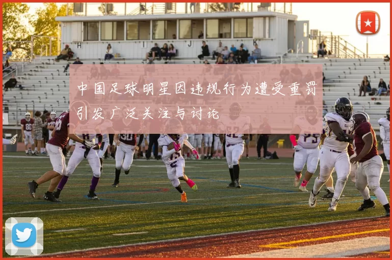 中国足球明星因违规行为遭受重罚引发广泛关注与讨论