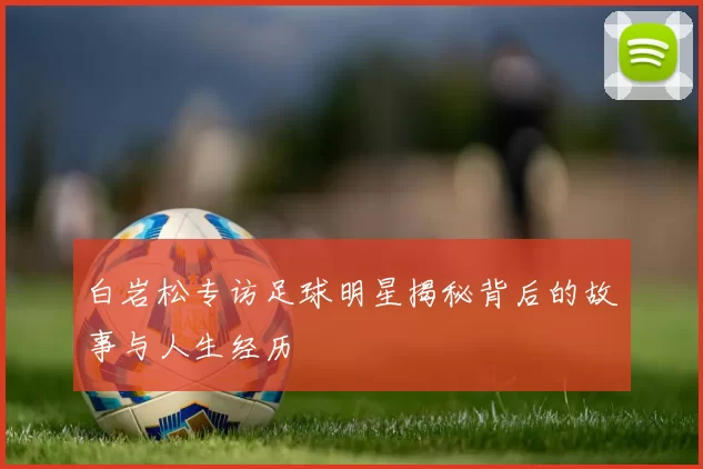 白岩松专访足球明星揭秘背后的故事与人生经历