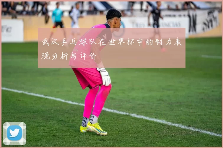 武汉乒乓球队在世界杯中的耐力表现分析与评价
