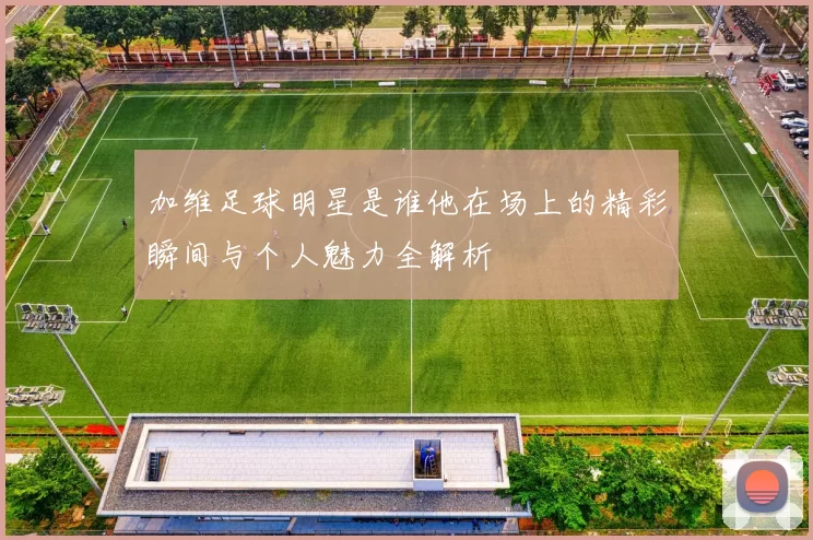 加维足球明星是谁他在场上的精彩瞬间与个人魅力全解析