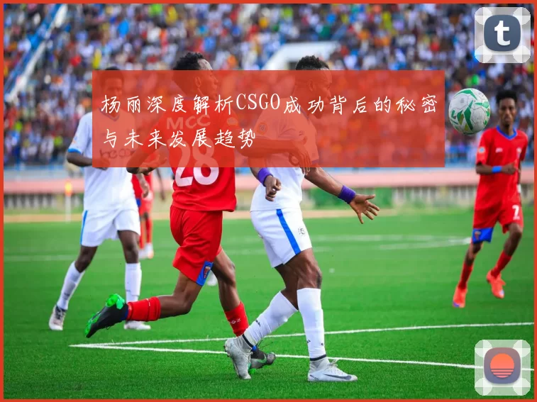 杨丽深度解析CSGO成功背后的秘密与未来发展趋势