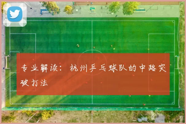 专业解读：杭州乒乓球队的中路突破打法